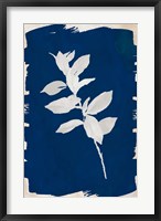 Framed White Leaf on Navy II