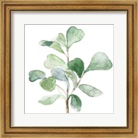 Framed 'Fiddle Fig Leaf Plant I' border=