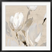 Framed Neutral Tulips I