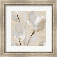 Framed Neutral Tulips II