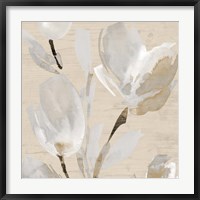 Framed Neutral Tulips II