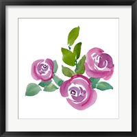 Framed Fushia Roses
