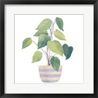Framed Mother-In-Law Plant In Striped Pot