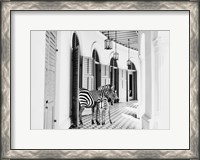 Framed Zebra Hotel