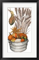 Harvest Bounty Tub III Framed Print