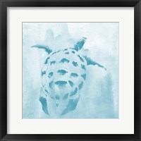 Framed Washed Teal Aquatic Turtle