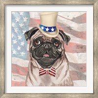 Framed Patriotic Pug