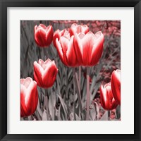 Framed 'Red Tulips II' border=