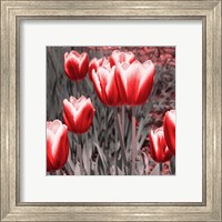 Framed 'Red Tulips II' border=