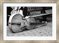 Framed Cello