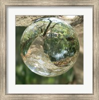 Framed Nature Droplets