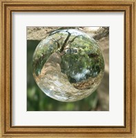 Framed Nature Droplets