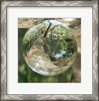 Framed Nature Droplets