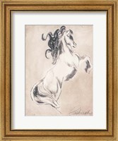 Framed Majestic Horse