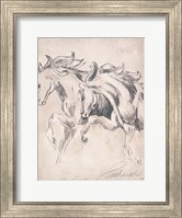 Framed Majestic Horses
