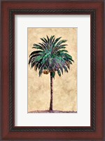 Framed Coconut Tribal Palm I