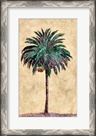 Framed Coconut Tribal Palm I