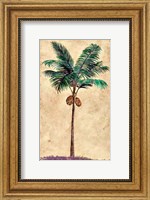 Framed Coconut Tribal Palm II
