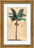 Framed Coconut Tribal Palm II