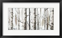 Framed White Birch Forest