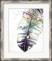 Framed Watercolor Plantain Leaves with Purple II