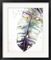 Framed Watercolor Plantain Leaves with Purple II