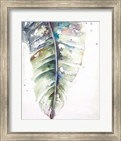 Framed Watercolor Plantain Leaves with Purple I