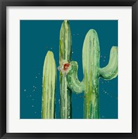 Framed Natural Desert Cactus On Blue II