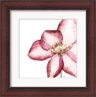 Framed Rouge Plum Flowers I