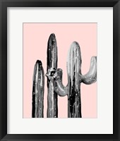 Framed Natural Desert Cactus On Blush