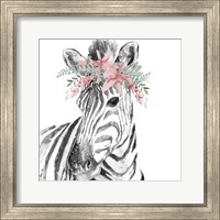 Framed 'Water Zebra with Floral Crown Square' border=