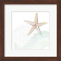 Framed 'Turquoise Ocean Treasure Star' border=
