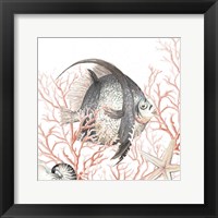 Framed Ocean Fish On Coral