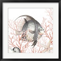 Framed Ocean Fish On Coral