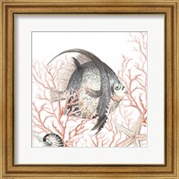 Framed Ocean Fish On Coral