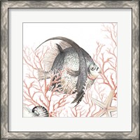 Framed 'Ocean Fish On Coral' border=