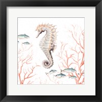 Framed Seahorse On Coral