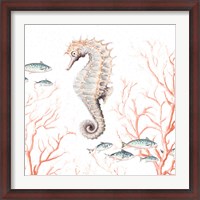 Framed Seahorse On Coral