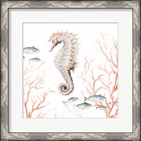 Framed 'Seahorse On Coral' border=