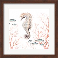 Framed Seahorse On Coral