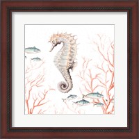 Framed 'Seahorse On Coral' border=