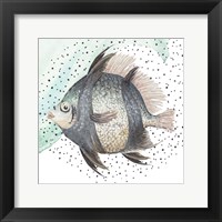 Framed Coastal Fish I