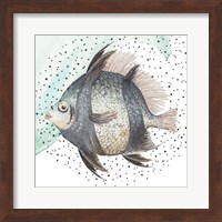 Framed Coastal Fish I