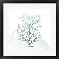 Framed Turquoise Ocean Sea Coral