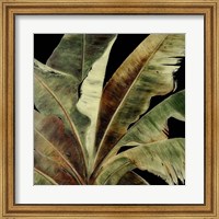 Framed Uraba Palm on Black I