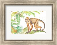 Framed Monkey Roaming In The Jungle