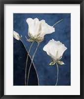 Framed Blooms On Blue