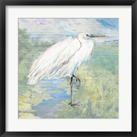Framed Wild Egret