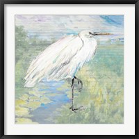 Framed Wild Egret