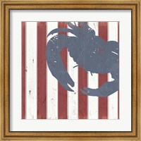 Framed American Coastal I